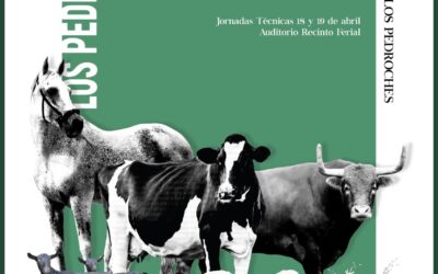 Feria Alimentaria y Agroganadera del Valle de los Pedroches 2023