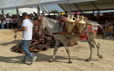 Feria Medina Sidonia, Cádiz (2023)